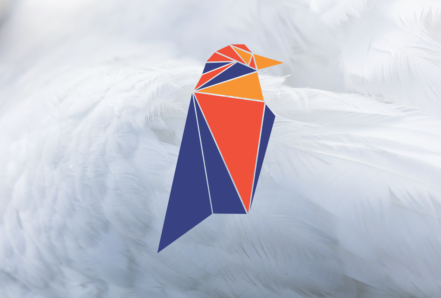 Обмен Ravencoin на валюты PayPal с сервисом AppBit